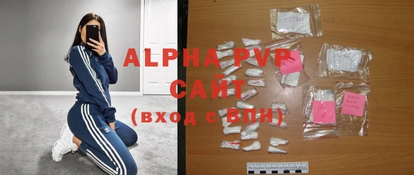 амф Верея