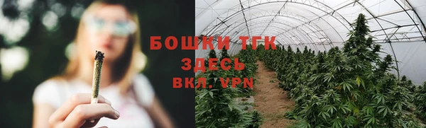 СК Верхний Тагил