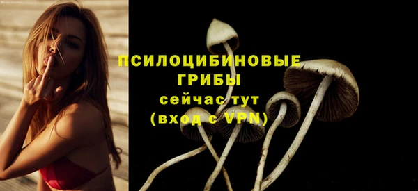 ECSTASY Волоколамск