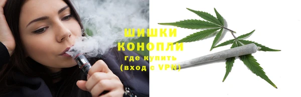 сатива Волосово